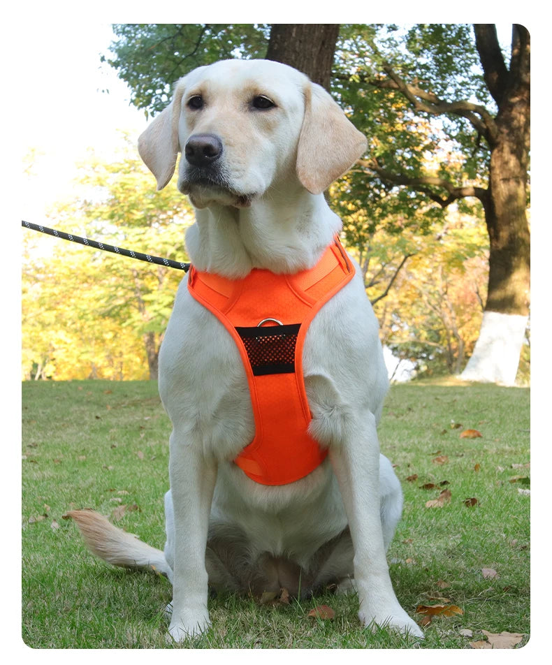 No Pull Dog Harness Pet Reflective