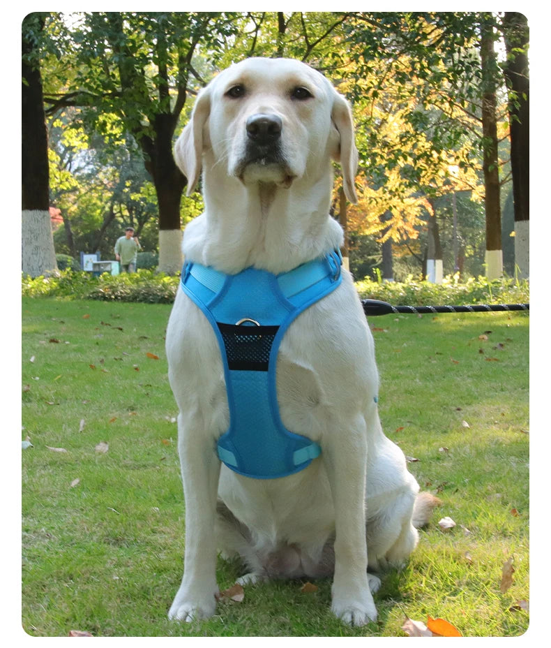 No Pull Dog Harness Pet Reflective