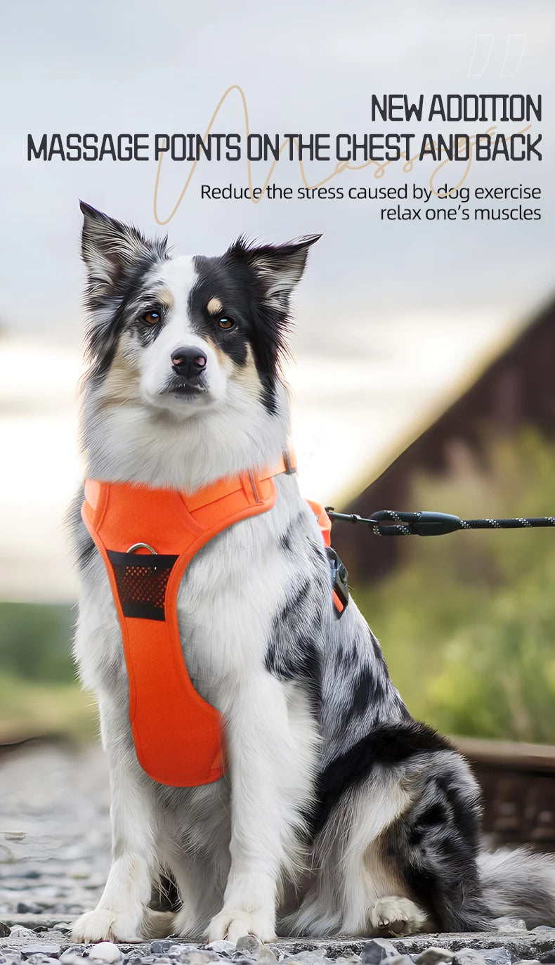 No Pull Dog Harness Pet Reflective