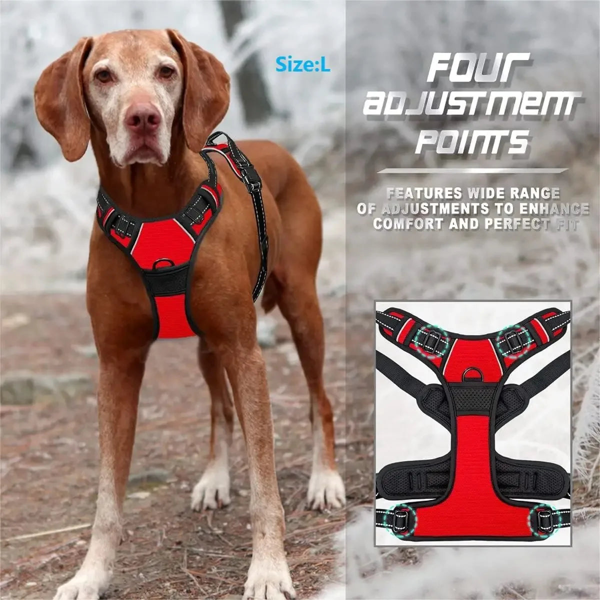 Dog Collars Harness Big Vests Leash